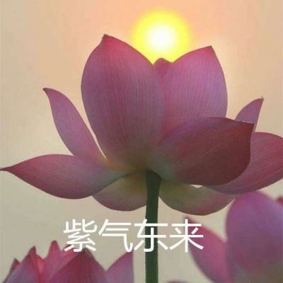 猜猜大脑洞游戏下载